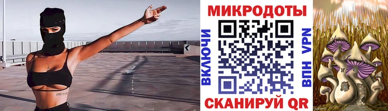 Галлюциногенные грибы Psilocybine cubensis где найти Белореченск