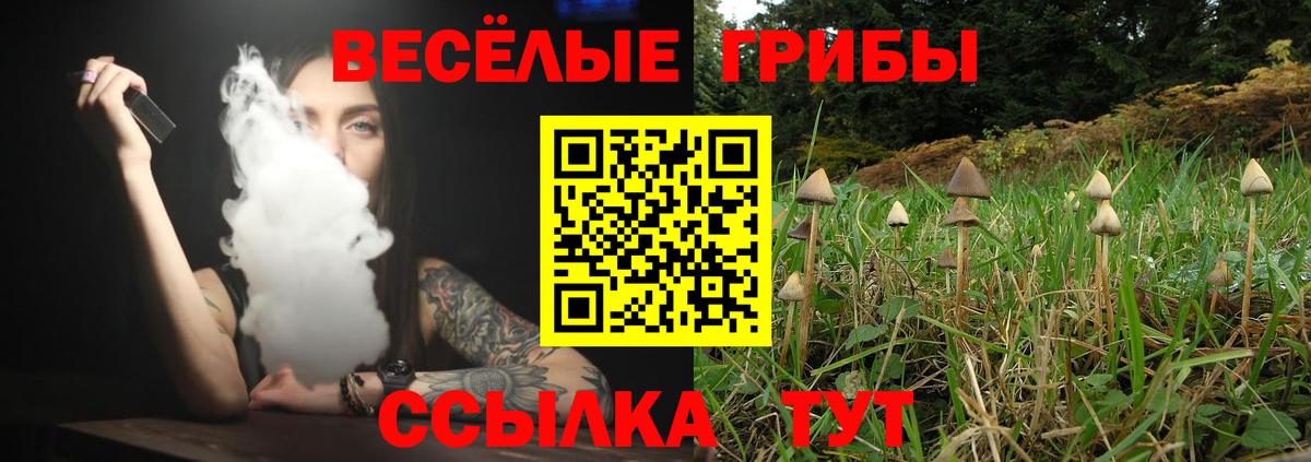 Белореченск  Галлюциногенные грибы ЛСД  Вход с VPN 